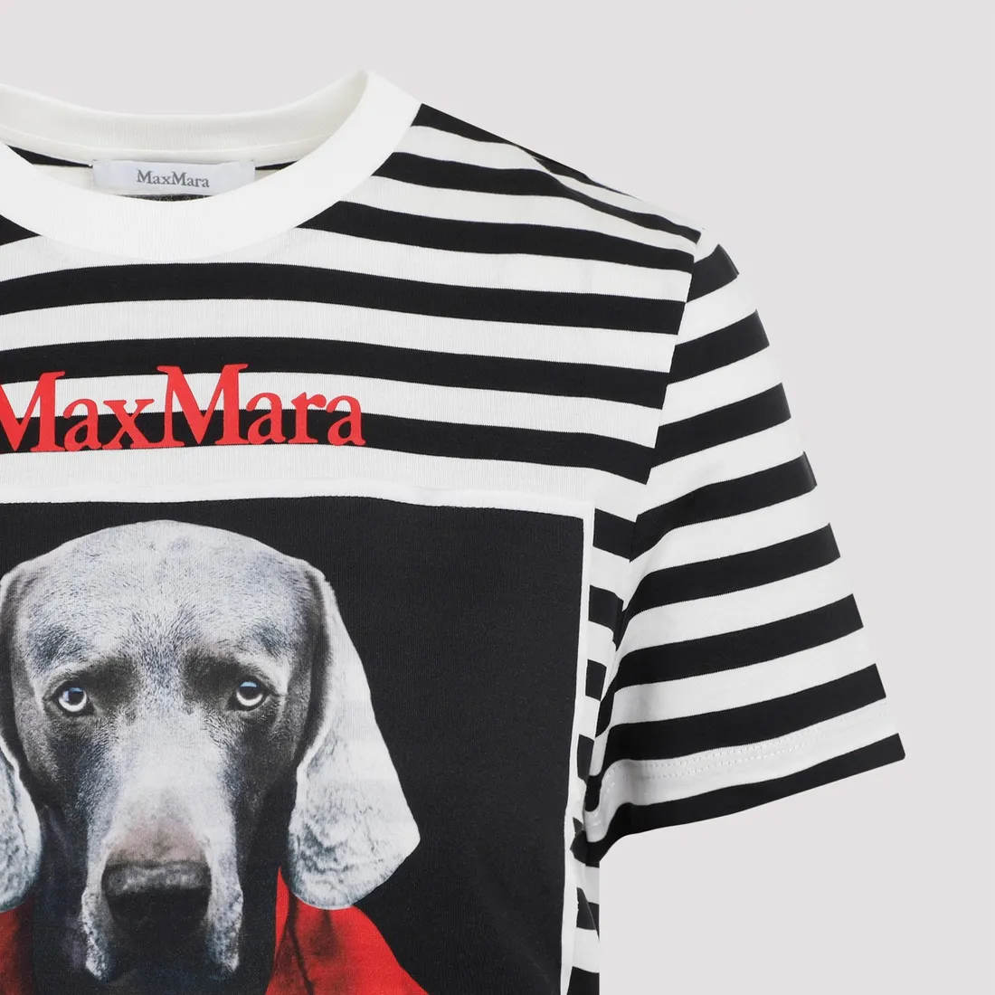 Max mara t fashion shirt dog